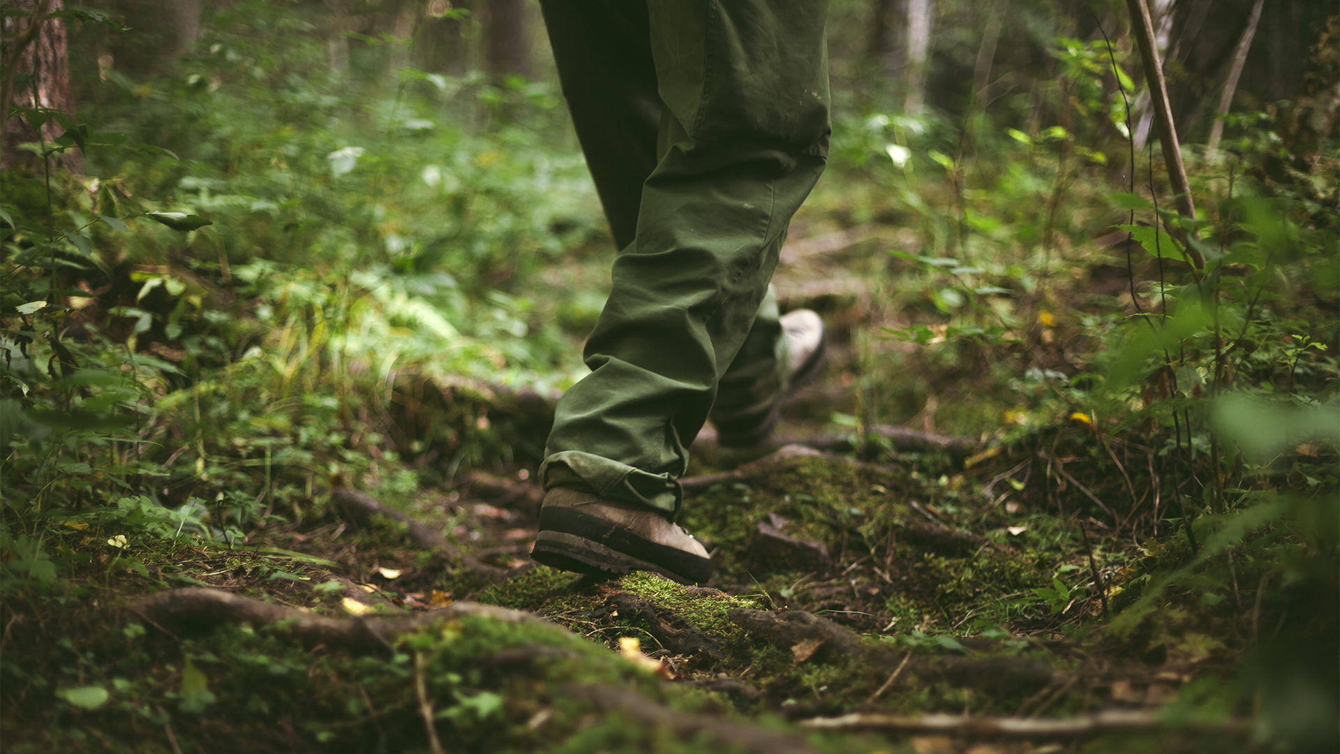 Person i gröna byxor och vandringskängor vandrar i skogen, Orsa, Dalarna.