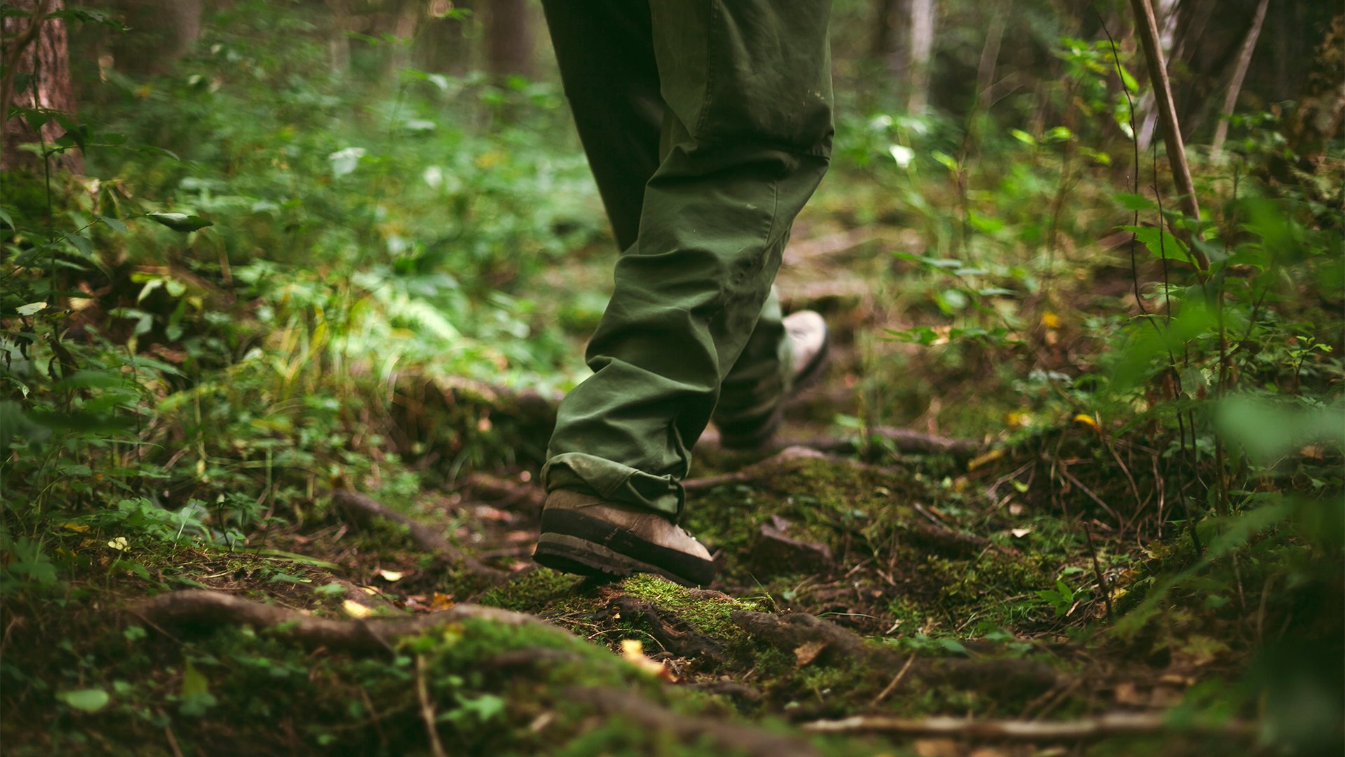 Fotograf: Matilda Holmqvist
Bildbyrå: Johnér Person i gröna byxor och vandringskängor vandrar i skogen, Orsa, Dalarna.