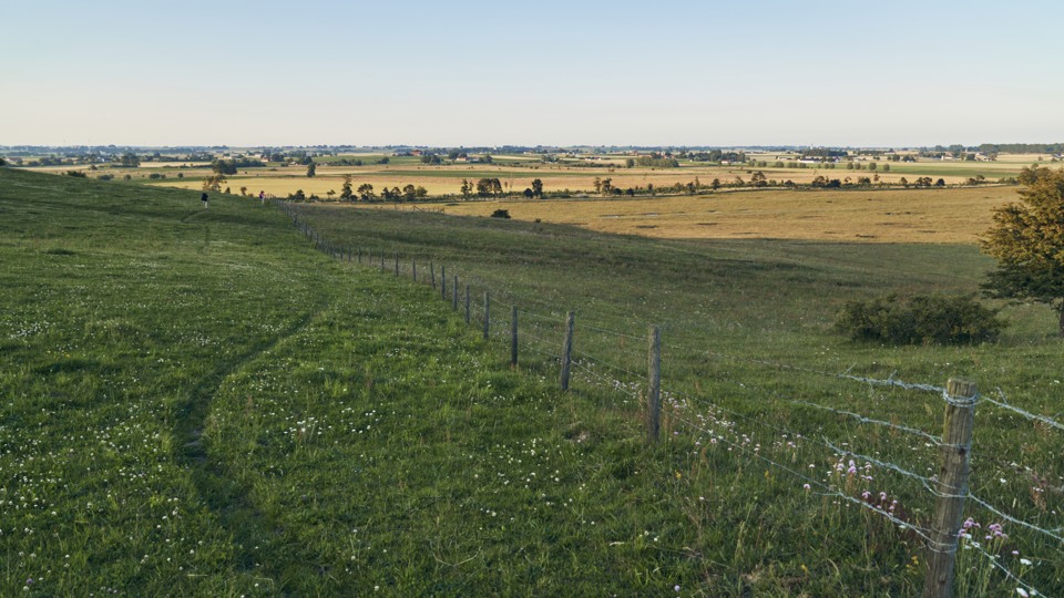 Fotograf: Johan Alp
Bildbyrå: Johnér Åkerlandskap, Österlen