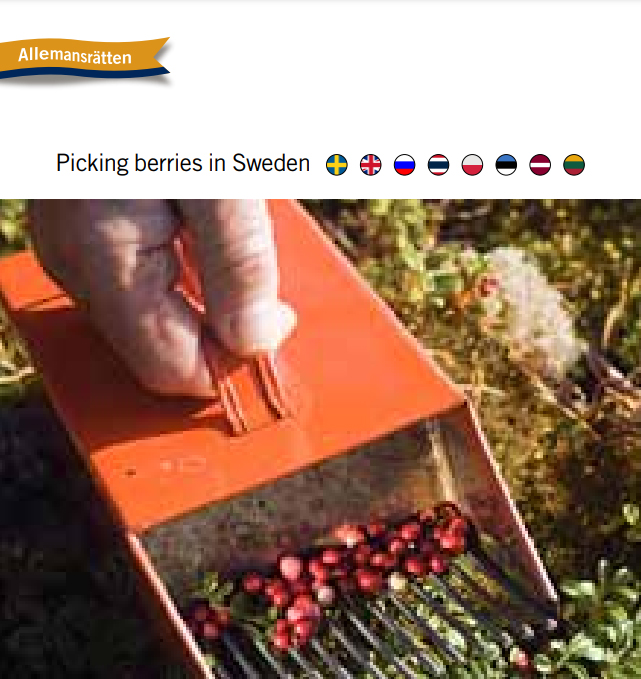 Omslag publikation.