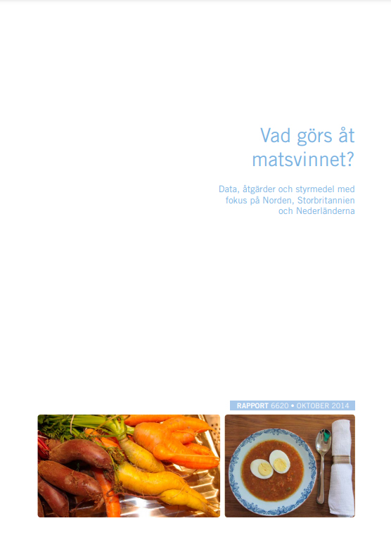 Omslag publikation.