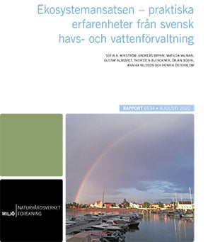 Publikation omslag