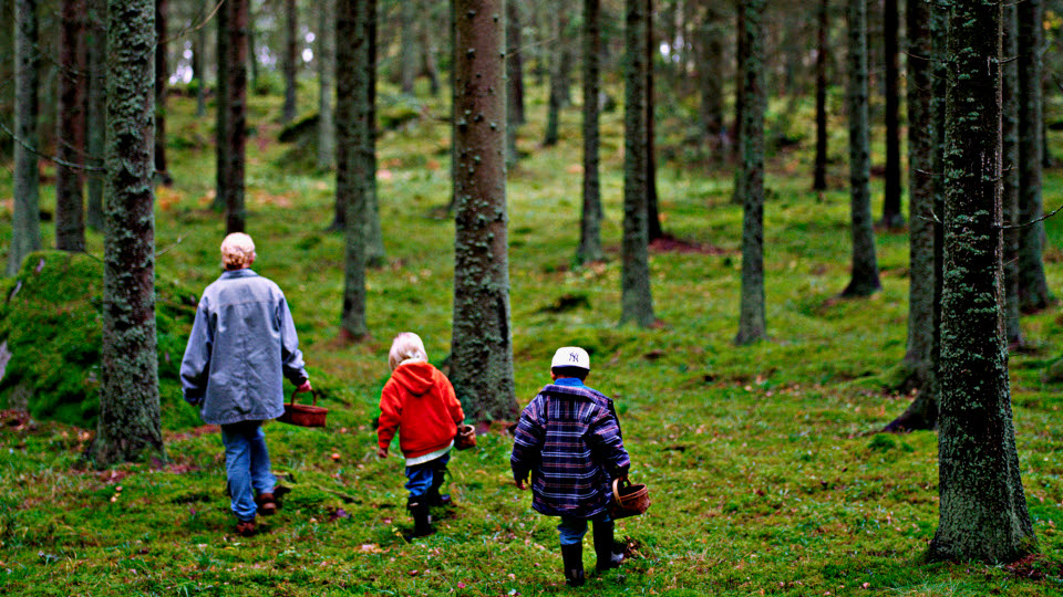 Familj i skogen
