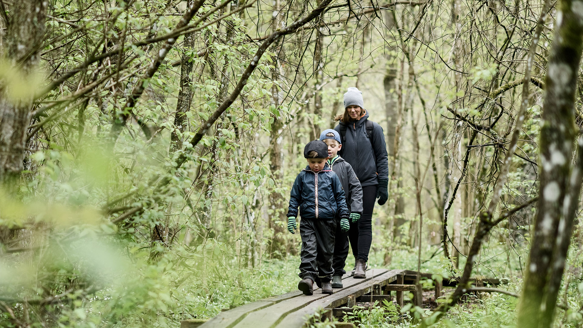 En kvinna och två barn går på en spång i skogen. 