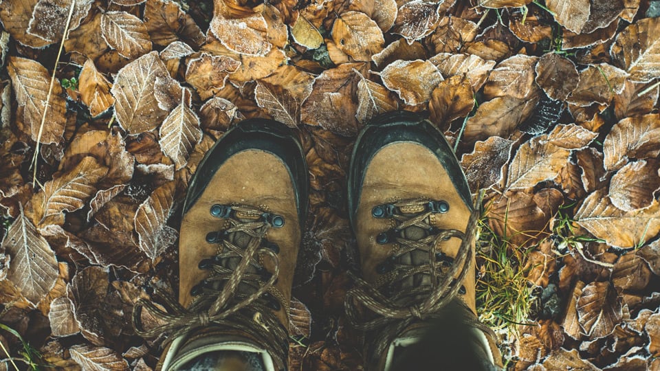 Skor i höstlöv