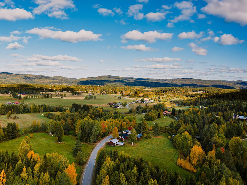 Fotograf: Peter van der Meulen
Bildbyrå: Unsplash Flygbild över ett höstfärgat landskap med skog, fält och en slingrande väg under en blå himmel med vita moln.