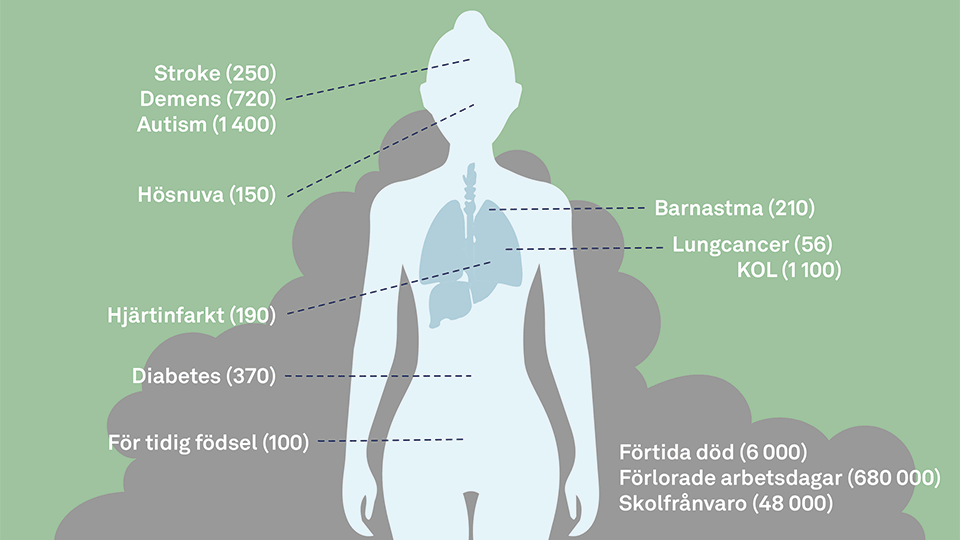 Illustration av hur luftföroreningar kan påverka människors hälsa