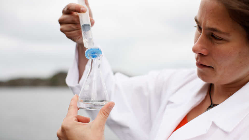 Fotograf: Maskot
Bildbyrå: Johner Forskare kontrollerar vatten