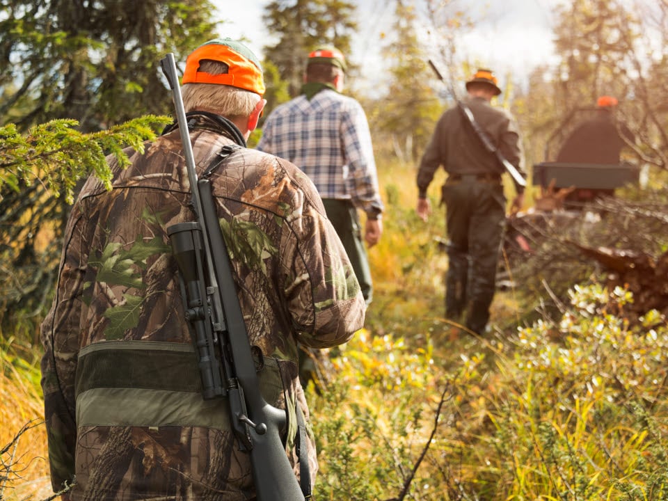 Photographer: Hans Berggren
Agency: Johnér A group of hunters are transporting a moose using an off-road vehicle.
