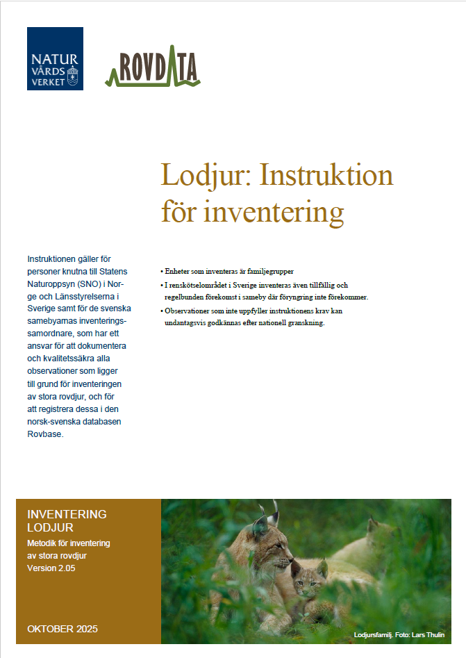 Omslagsbild till rapporten Lodjur: Instruktion för inventering