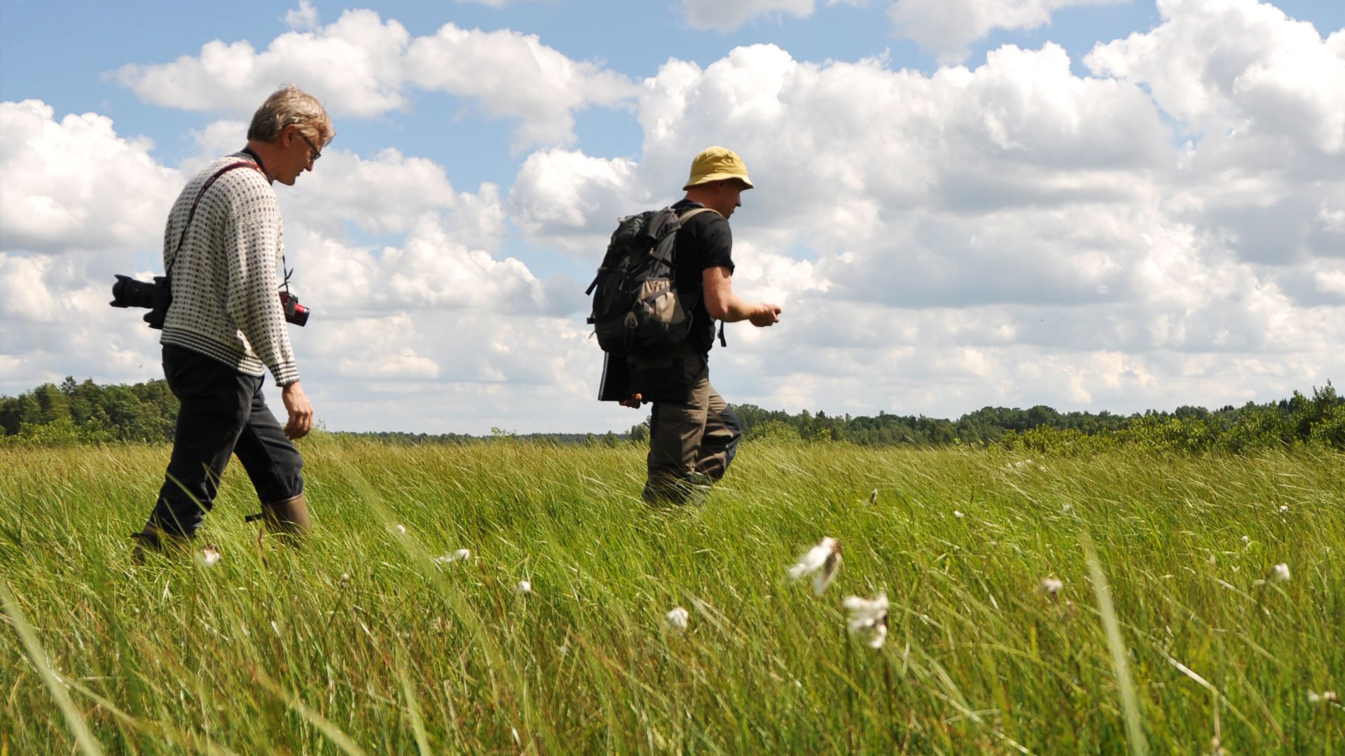 Fältkalibrering, Hörlinge ängar, Skåne.