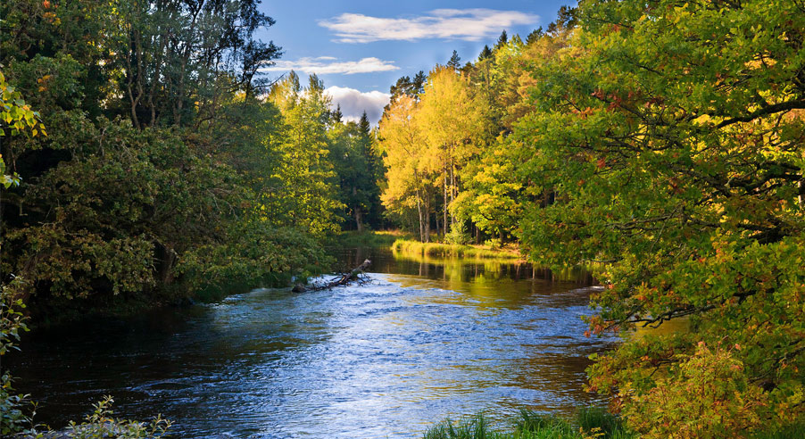 farnebofjarden902x492.jpg