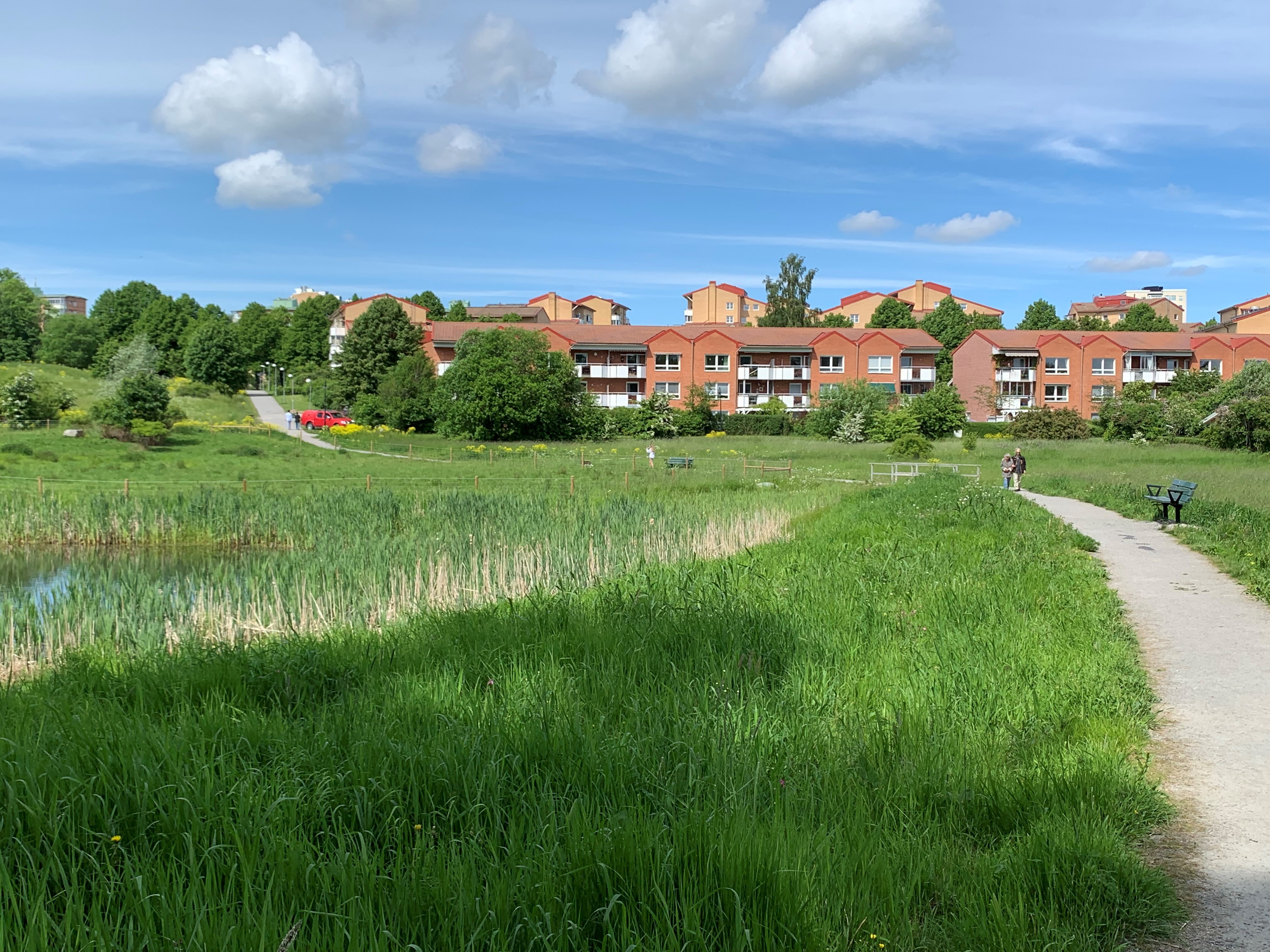 Grönområde med gångväg och flerfamiljehus i bakgrunden.