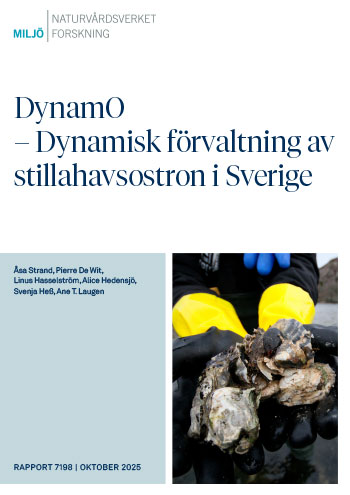 Rapportomslag.