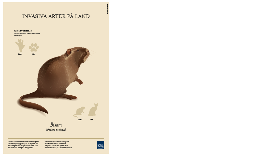 Illustratör: Naturvårdsverket affisch-960x540.png