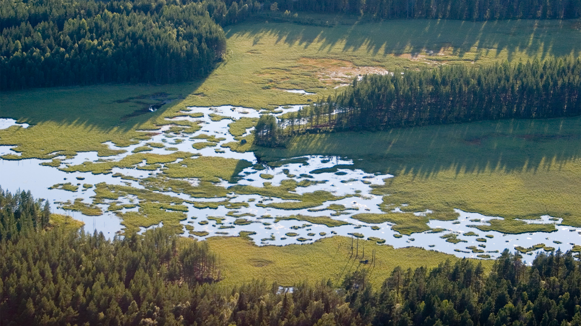 Flygbild över våtmark, Västerbotten