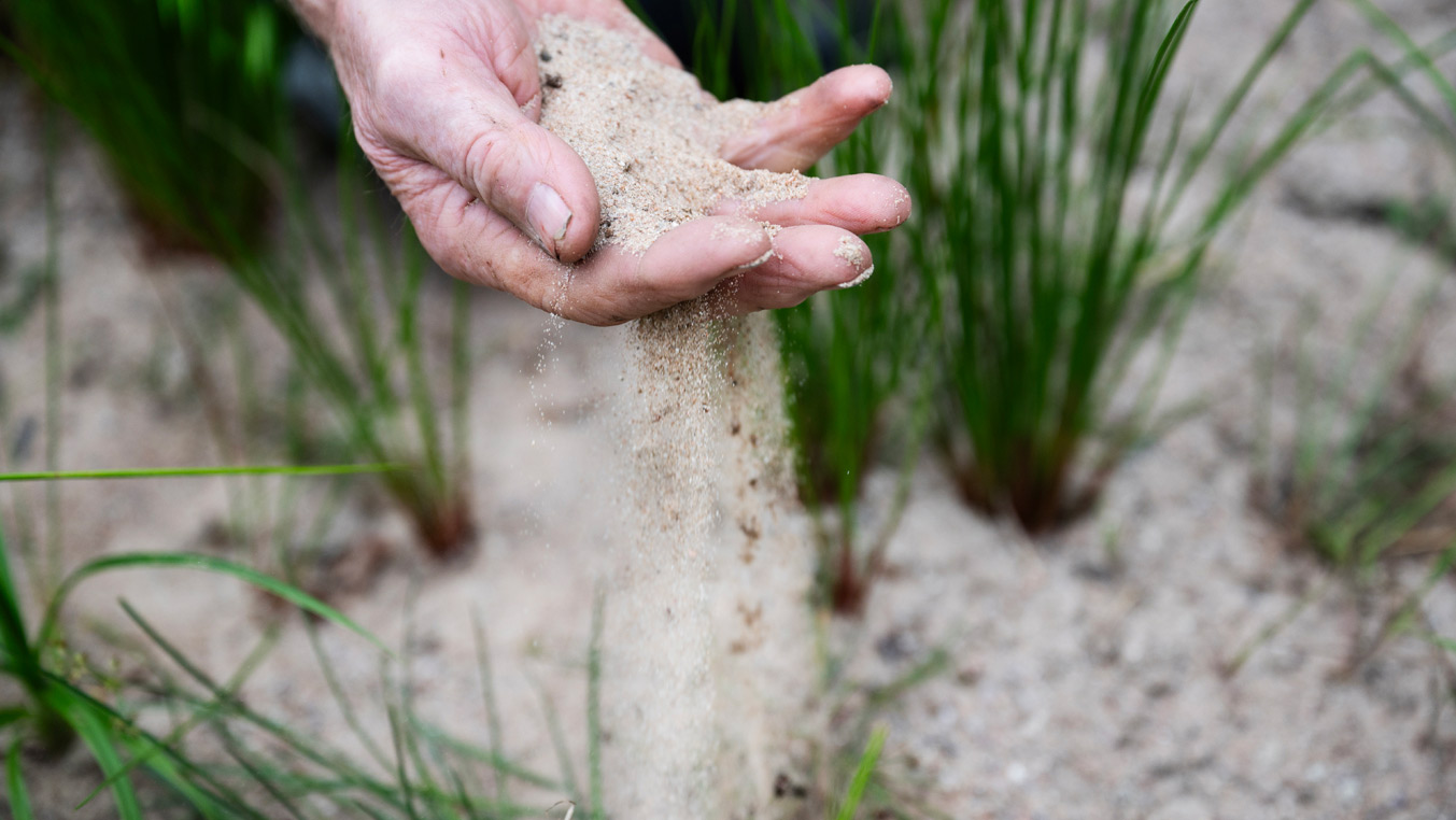 Fotograf: Lina Alriksson Närbild på hand med sand i som strilar nedåt