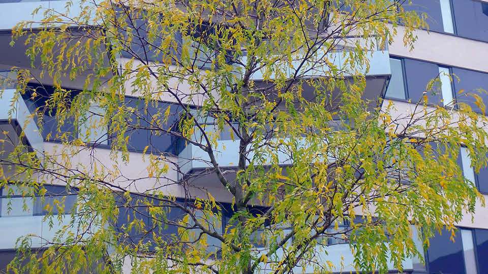 Husfasad, Norra Djurgårdsstaden, Stockholm