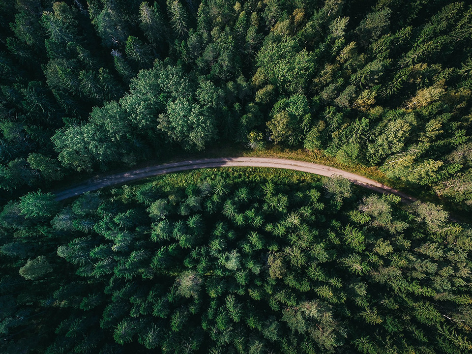 Road in a forrest, photographed from above