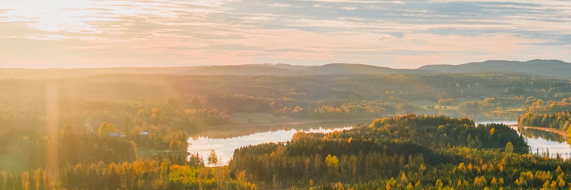Vy över skogslandskap i solsken Härnösand