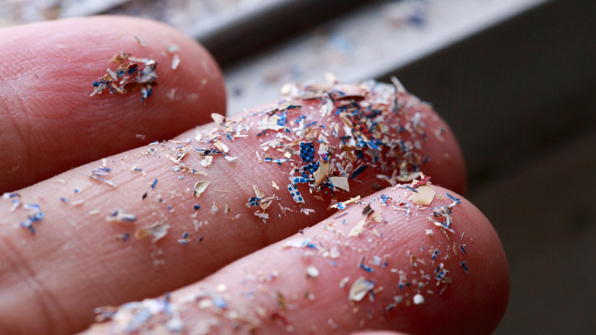 Photographer: pcess609, iStock Microplastic pieces in hand.