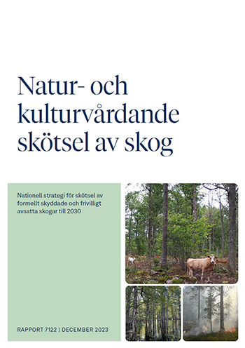 Omslag rapport.