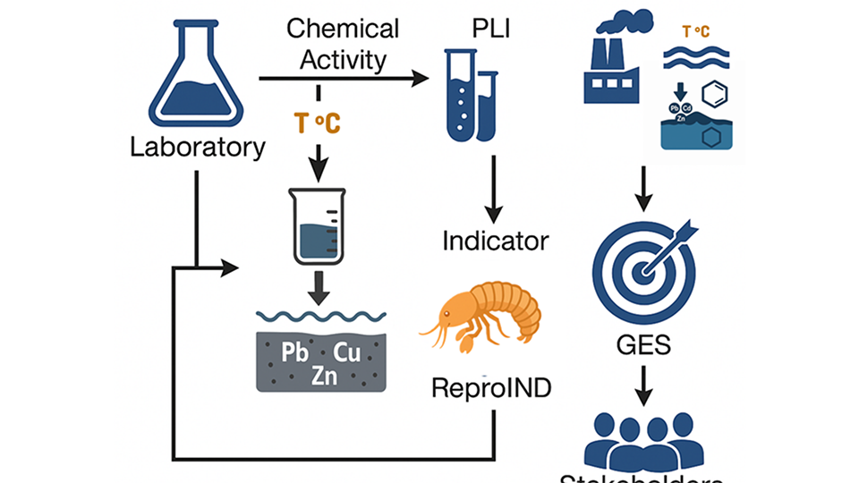Omslagsbild till 978-91-620-7208-7