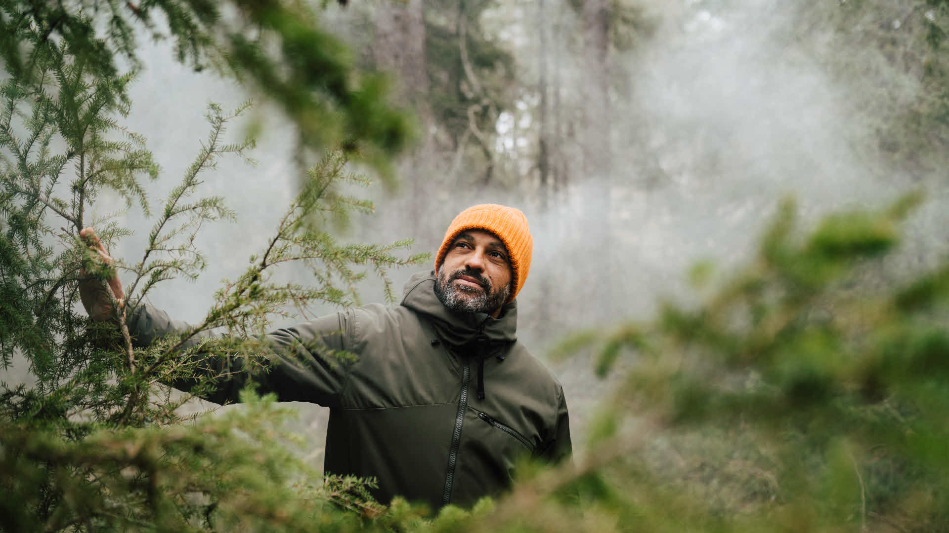 En man kikar fram i skogen