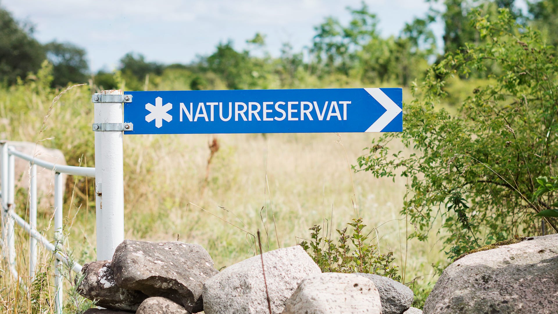 Fotograf: Sofia Byström
Bildbyrå: Johnér Vägvisare för naturreservat