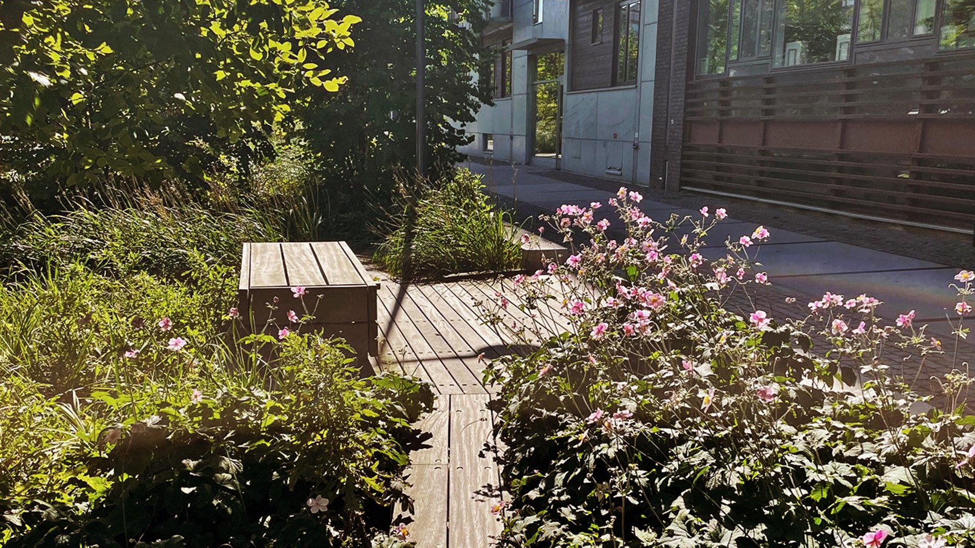 Fotograf: Mia-Maria Hedberg. En träbänk mitt i blommande grönska och husvägg till höger.