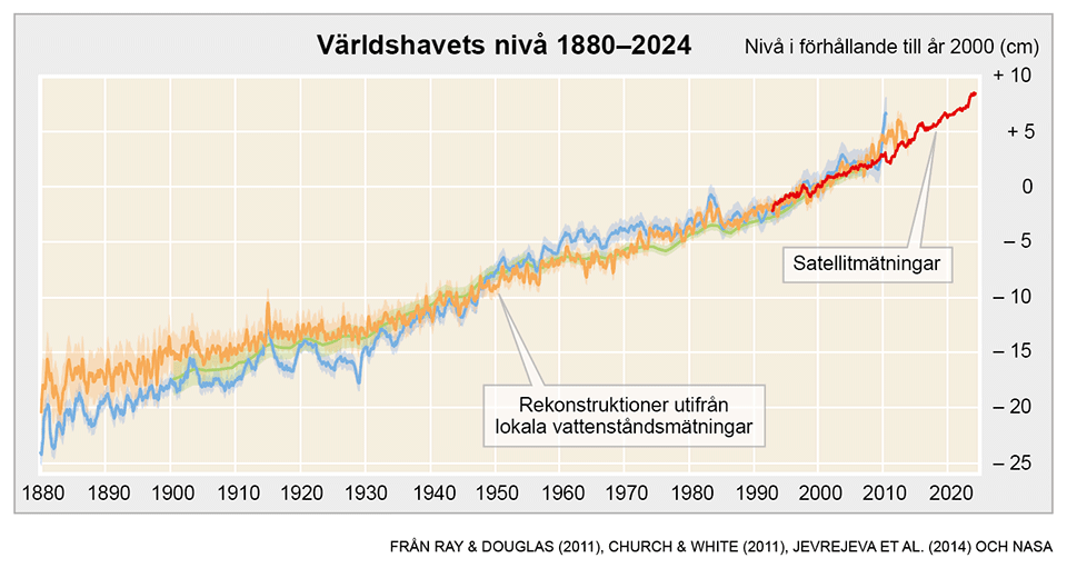 Diagram som visar världshavets nivå 1880–2024