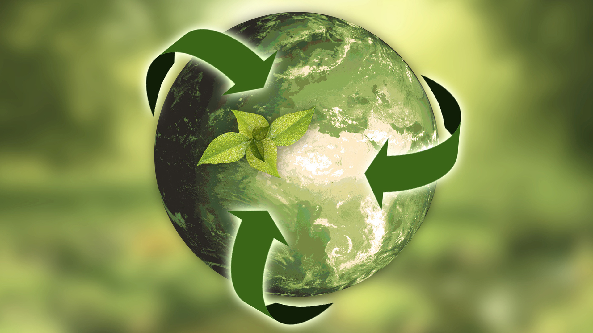 Green globe.