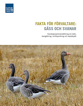 Omslagsbild till 978-91-620-8793-7