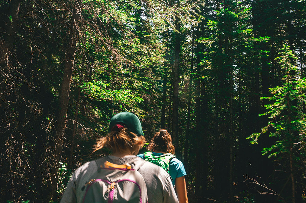 Två personer med ryggsäckar vandrar i en skog. Foto: Ryan Gukert / Unsplash