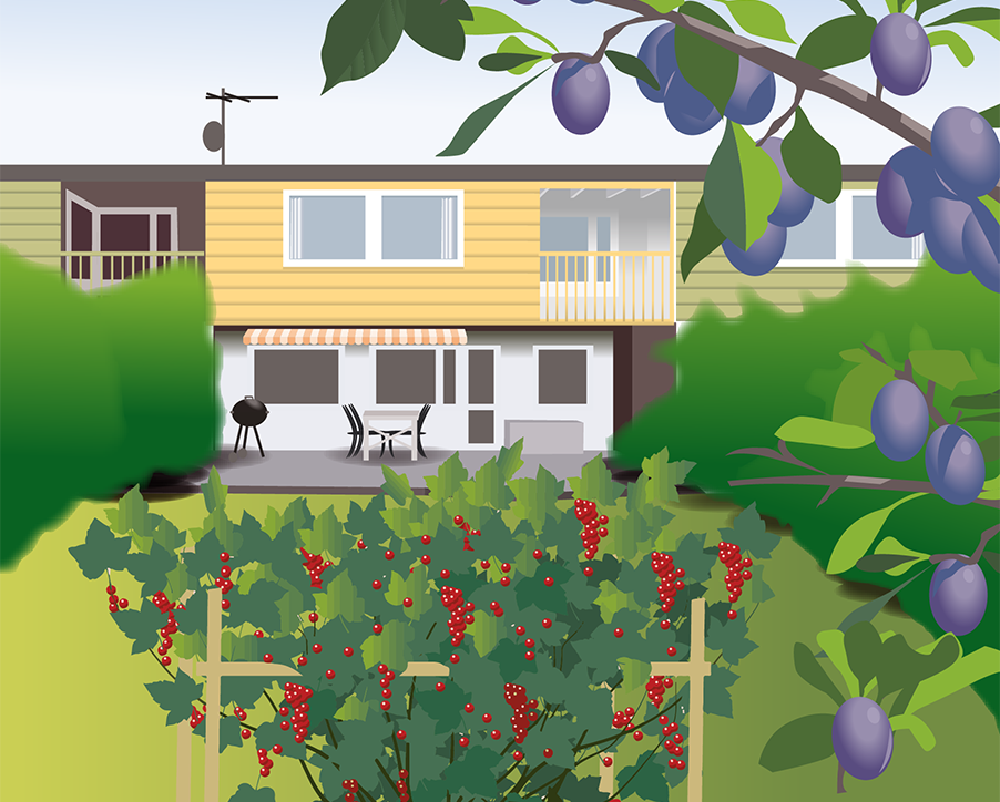 2-pollinator-tradgard-blommande-trad.png