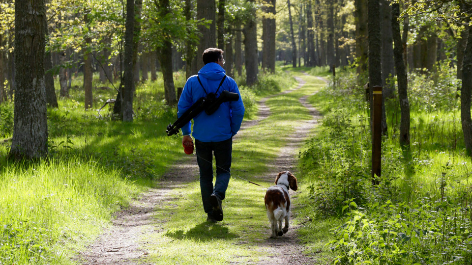 Man med hund på promenad i skogen