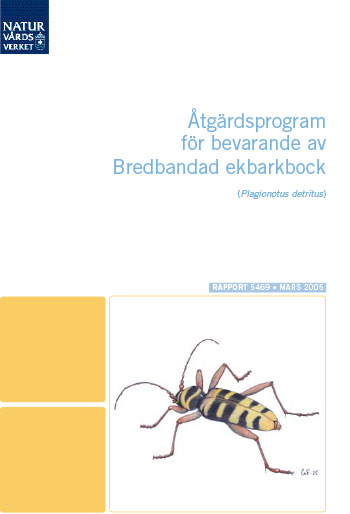 Omslag publikation.