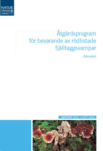 Omslag publikation.