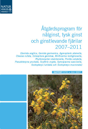 Omslag publikation.