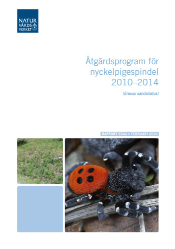 Omslag publikation.