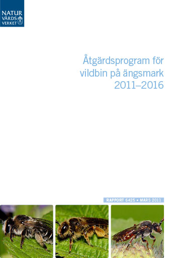 Omslag publikation.
