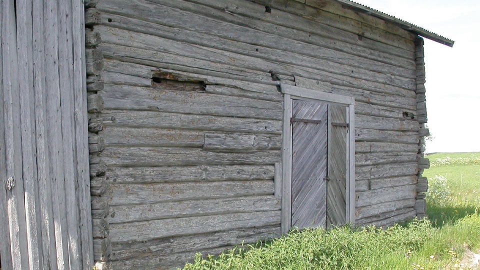 Lada med vedorangelav i Kläppe, Marby sn, Jämtland.
