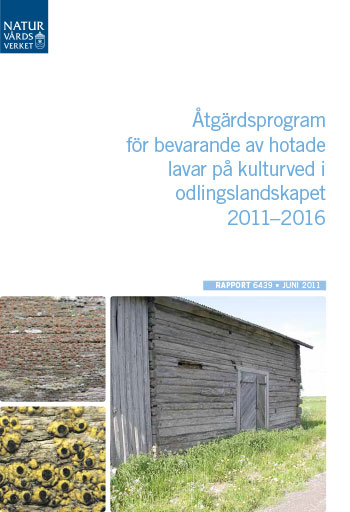 Omslag publikation.