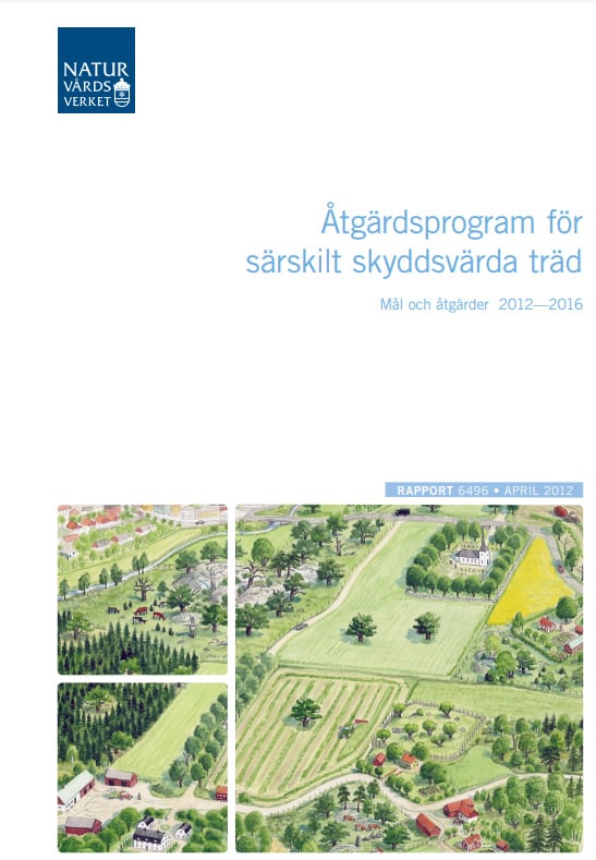 Omslag publikation
