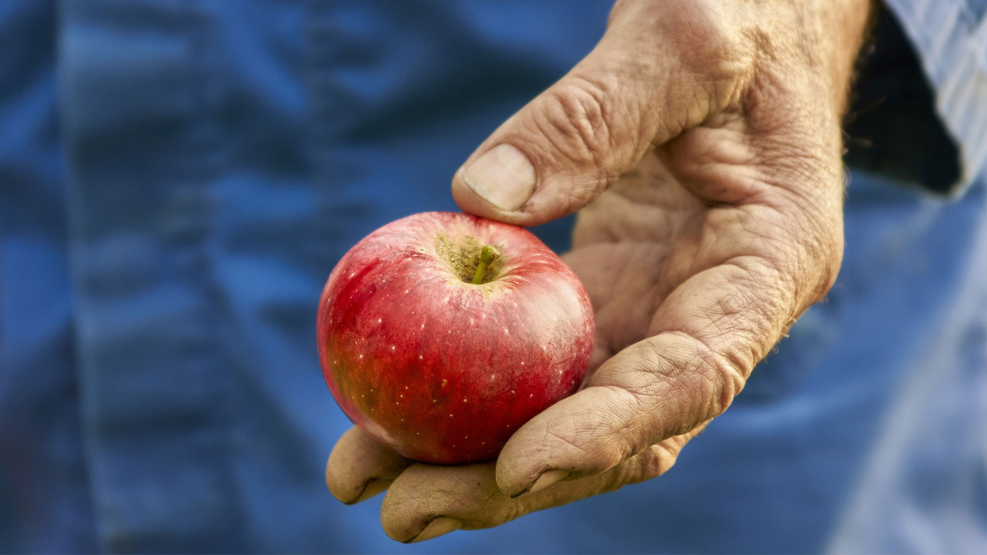 En fårad hand håller i ett rött äpple.