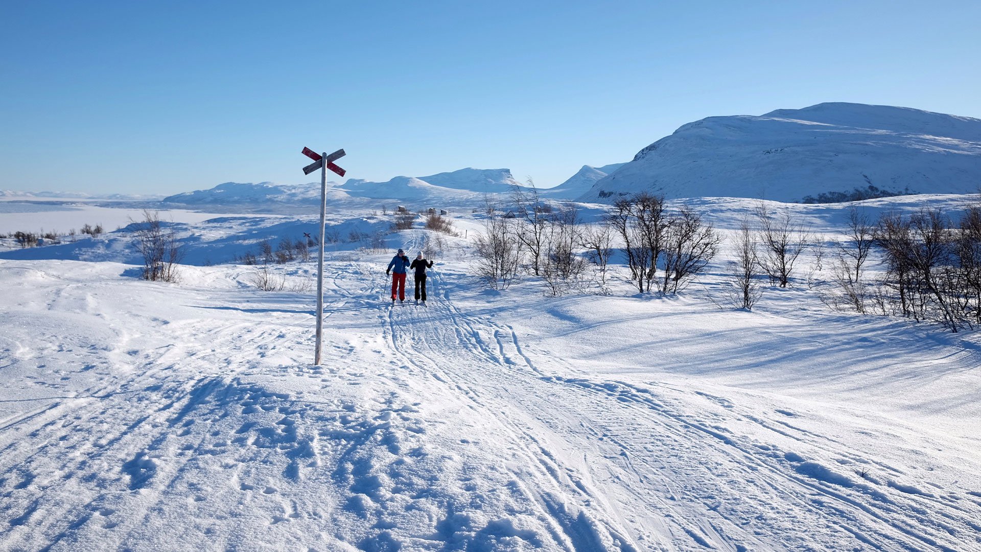Två skidåkare i vinterlandskap.