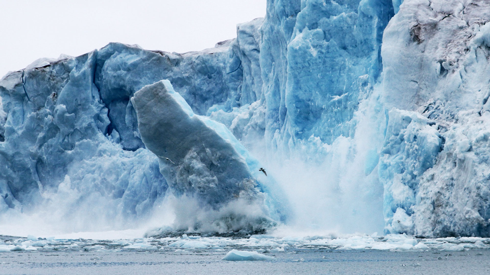 Block av is lossnar ifrån isberg.