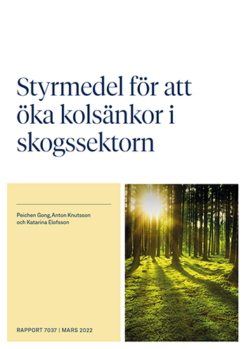 Rapportomslag