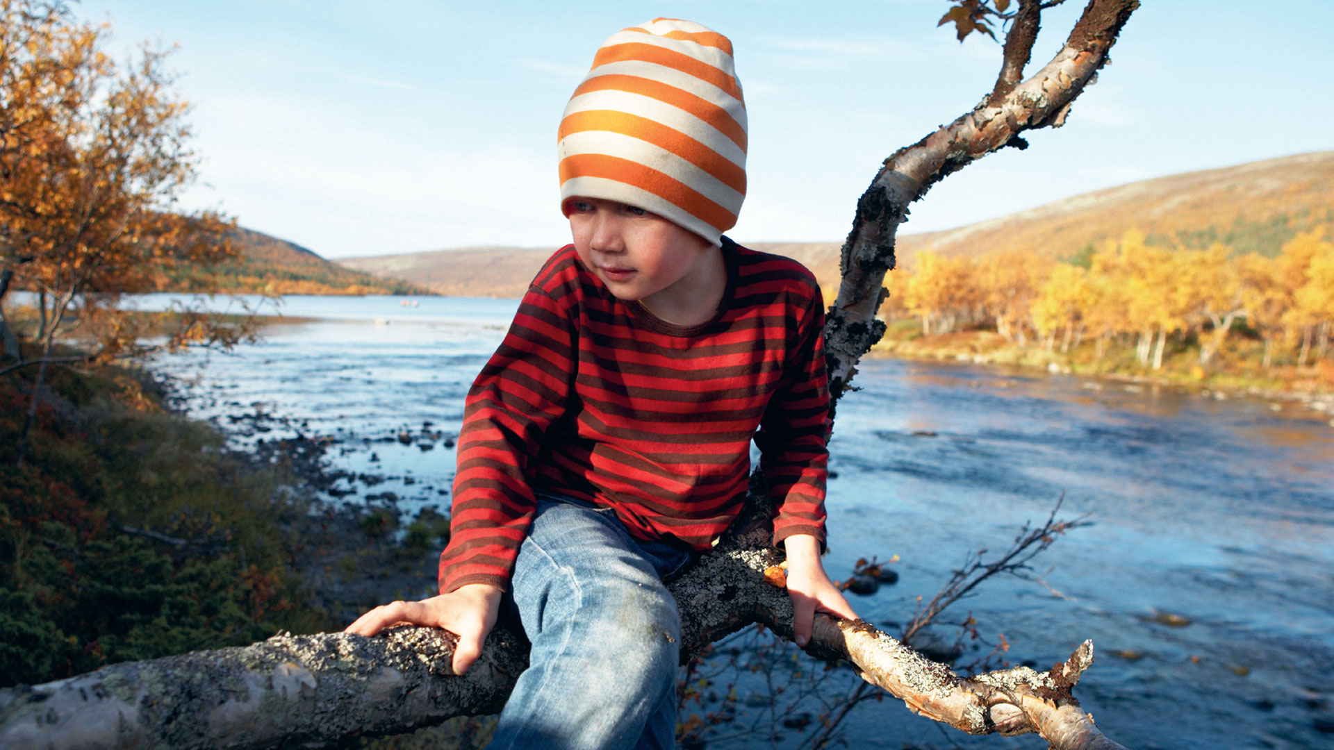 Ett barn sitter i ett träd vid en sjö. 