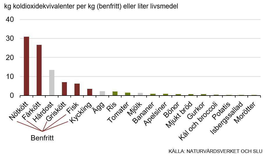 Vad Påverkar Klimatet Mest Negativt